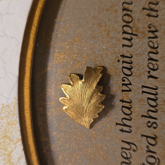 Isaiah 40:31 Gold Frame - Picture 14 of 14